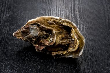 İstiridye Kabuğu Deniz Ürünleri